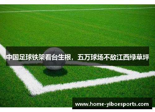 中国足球铁架看台生根，五万球场不敌江西绿草坪